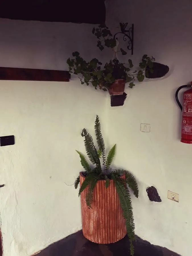 Casa Elea Guest House San Bartolome de Tirajana